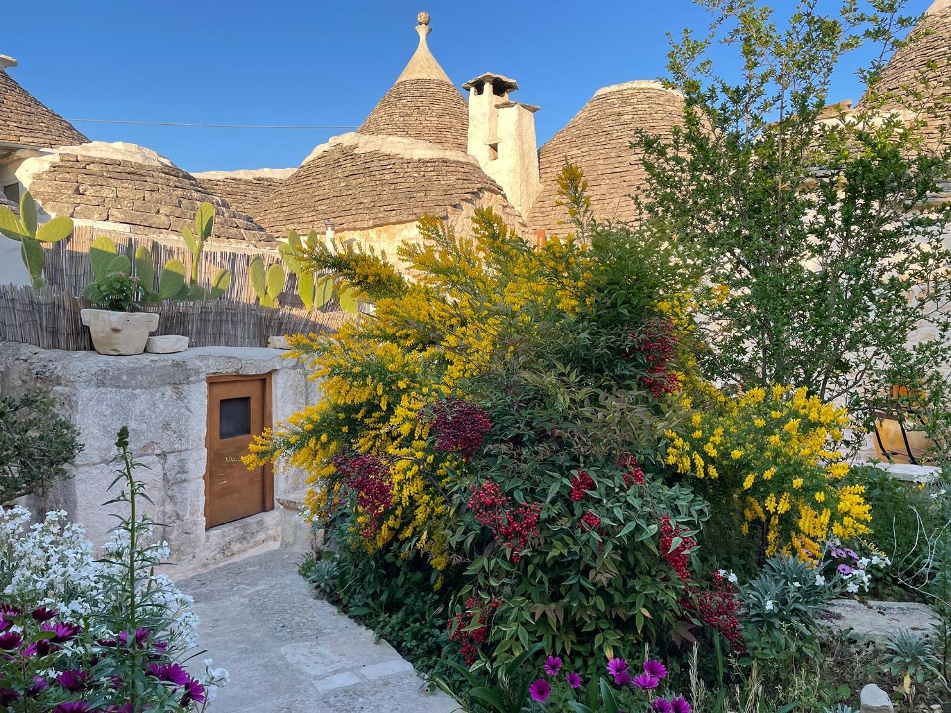 アルベロベッロ Trullo Apricoヴィラ エクステリア 写真
